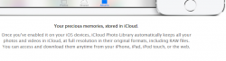 APPLE.png