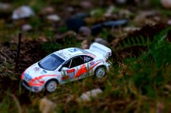 DSC00341.JPG