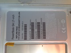 IMG_7239.jpeg