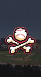 Chihuahuas 03.jpg