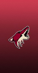 Coyotes 01.jpg