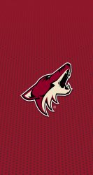 Coyotes 03.jpg