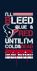 Texans bleed 02.jpg