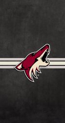 Coyotes striped 01.jpg