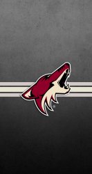 Coyotes striped 02.jpg