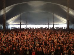 graspop2014.jpg