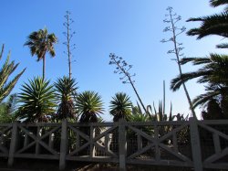 IMG_1683.JPG