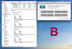 SETUP B 2-2-8-8.jpg