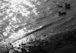 Image-4.jpg