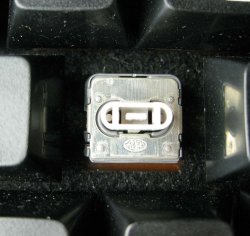 TRS ALPS.jpg