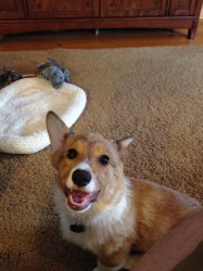 2014-07-04 11.30.00.jpg