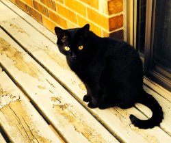 2014-08-09 08.31.57.jpg