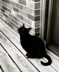 2014-08-09 08.33.02.jpg