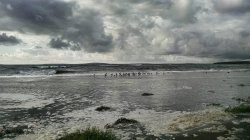 IMG_20140812_190754949~2.jpg