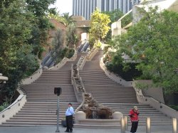 IMG_7546.JPG