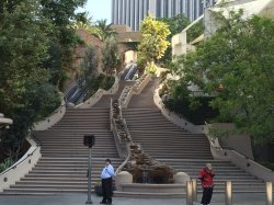 IMG_7547.JPG