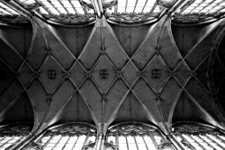 bw_c03.jpg