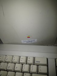 IMG_0966.jpg