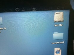 IMG_0510.jpeg
