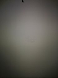 IMG_6703.JPG