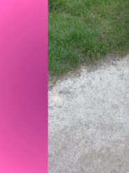 ImageUploadedByTapatalk1410100235.232407.jpg