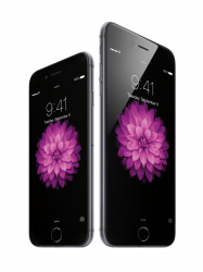 iPhone6-34R-SpGry_iPhone6Plus-34L-SpGry-flwr.png