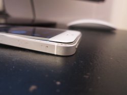 IMG_1673.jpg