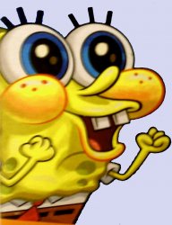 image.jpg