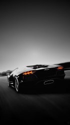 Lamborghini 01.jpg