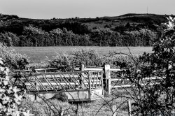 field-1.jpg