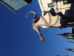 IMG_6231.JPG