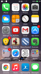 IMG_1326.PNG