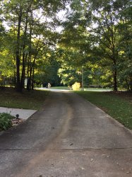 IMG_0001.jpg
