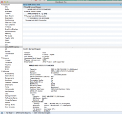 Screen Shot 1.png