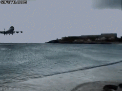 2040.gif