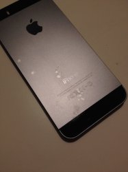 IMG_2101.jpeg