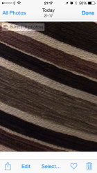 IMG_5150.PNG