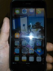 WP_000680.jpg