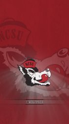 Wolfpack.jpg