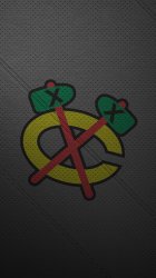 Blackhawks 02.jpg