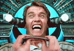 4066033.gif