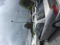 IMG_3020.jpeg