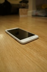 DSC01504a.jpg