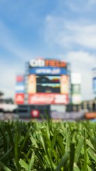 CitiField closeup.jpg