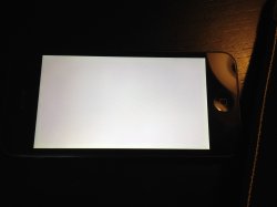 Photo 3.jpeg