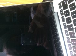 IMG_9771-1.jpeg