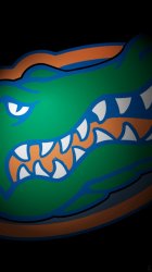 Gators 01.jpg