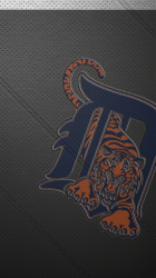 Leather Detroit Tigers.png