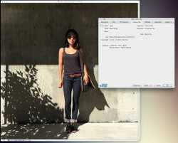 Screen Shot 2014-10-03 at 11.36.45 AM.png