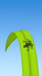 Frog2.jpg